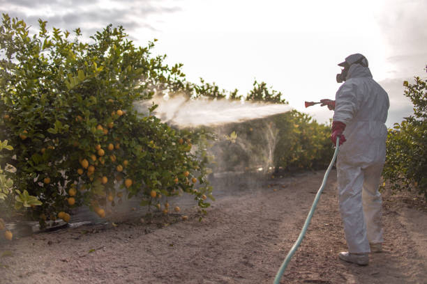 Best Pest Removal Services  in St Joseph, MO