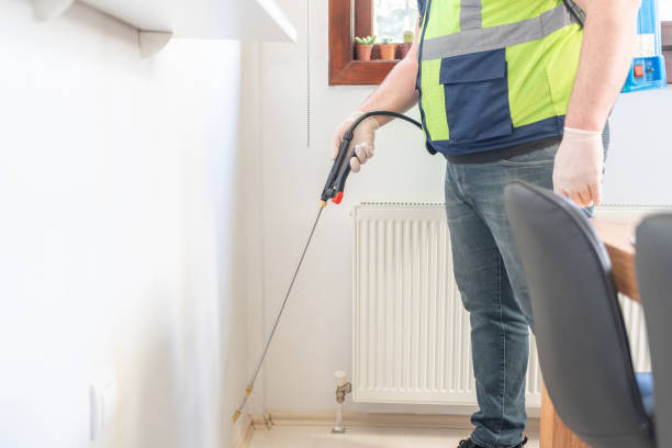 Wasp Removal Services in St Joseph, MO