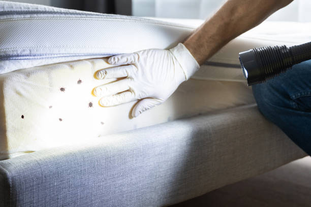  St Joseph, MO Pest Control Pros