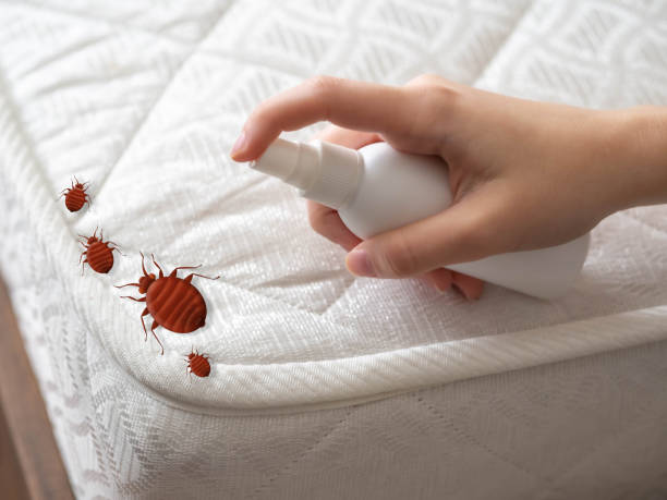 Best Flea Control Services  in St Joseph, MO